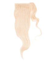Blonde Ponytail.