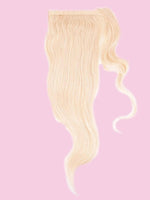 Blonde Ponytail.